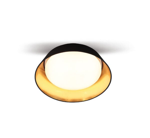 Plafonjera LED Cherry ML-1906018-01